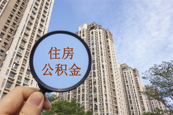 石狮辞职多久公积金可以全部取出来吗（辞职之后公积金多长时间可以取）